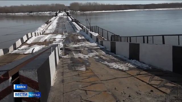 В Бийске заработал понтонный мост смотреть онлайн