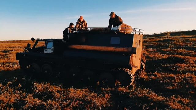 Тундра Кольского полуострова | Экспедиция 2018 смотреть онлайн