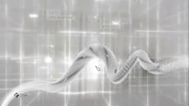 Assassin's Creed Brotherhood Easiest way to do the horse beam Thieves Challenge смотреть онлайн