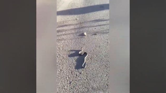 ?База отдыха ☀️ Солнечный берег/г. Маркс. /лето 2020 смотреть онлайн