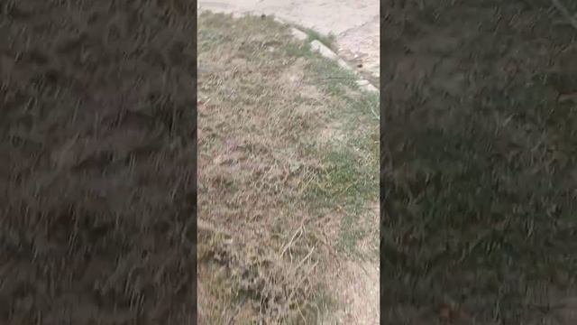 поменяли вакуумный усилитель тормозов))) смотреть онлайн