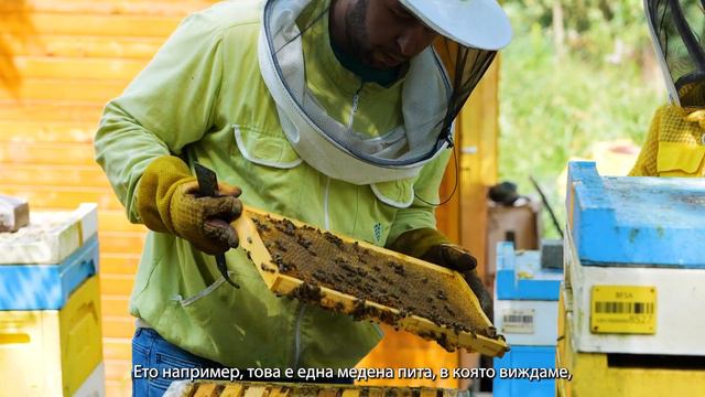 Без пчели няма бъдеще: Защо пчелите са от съществено значение за живота ни? смотреть онлайн