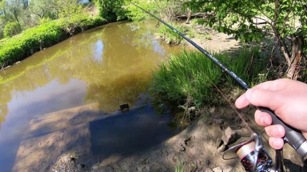 Тестирование CF Arion ASRE742ULS с воблерами.mp4