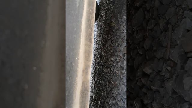 Ваз 2112. Холостой ход смотреть онлайн