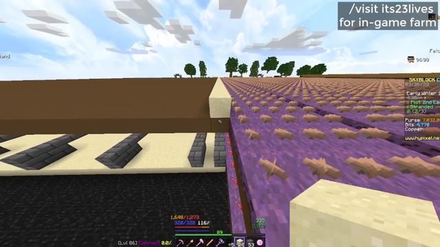 NEW Hypixel Garden Cactus Farm Design after Nerf смотреть онлайн