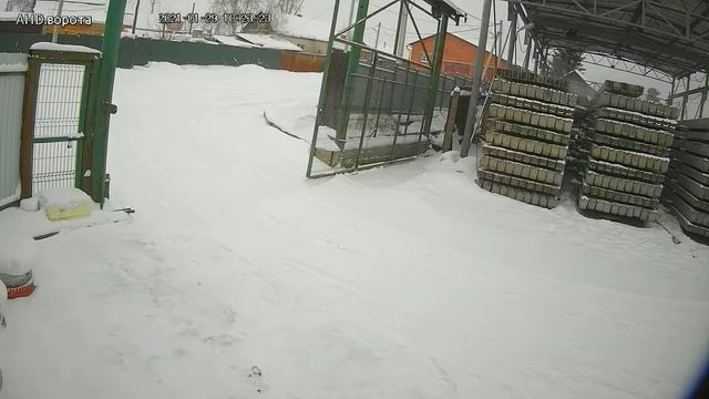 20210129.10:22-10:25. Ворота. Гости приехали смотреть онлайн