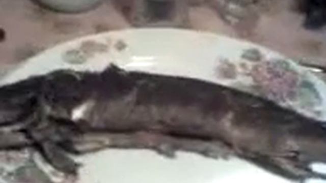 08 10 10 2004 ПОСЛЕ РЫБАЛКИ..... смотреть онлайн