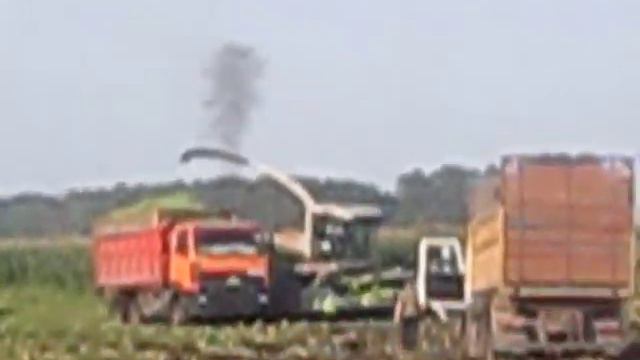 маз рыжик хорошо идет смотреть онлайн
