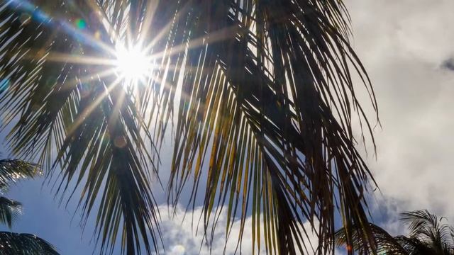 Презентация Венесуэла