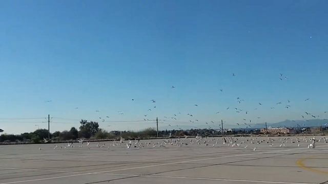 the old athens international airport, abandoned athens olympic 2004 venues смотреть онлайн