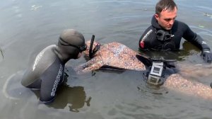 Как правильно плавать в карбоновых ластах. Часть 2.