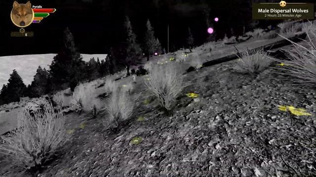 Rise of a Relentless Huntress! | WolfQuest AE: The Wildfire Pack #1 смотреть онлайн