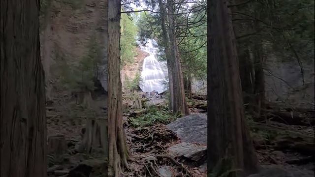 Bridal Falls in Chilliwack, British Columbia ? смотреть онлайн