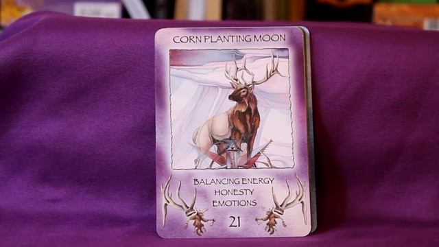 Spirit of the Wheel Meditation Deck Full Flip Through смотреть онлайн