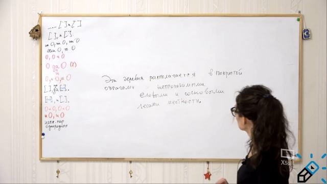 Вебинар №13. ЕГЭ по русскому языку. Разбор заданий 16 от ФИПИ. смотреть онлайн