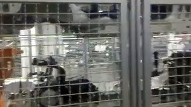 Терминатор-5 или прирученные машины смотреть онлайн
