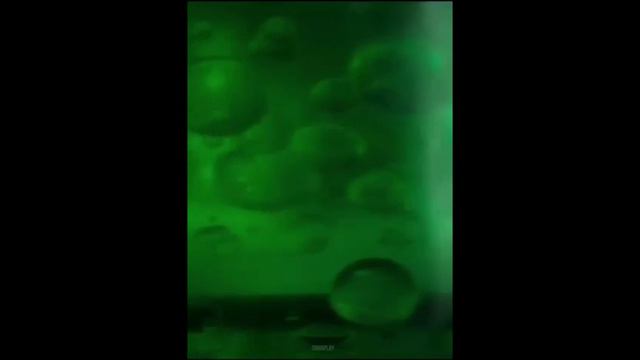 WOW 3.3.5  Гнев короля лича