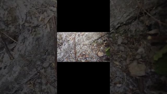 Новое видео уже на канале... #влог #блогер #камера #pubg #жизнь #опасность #dangerous #camera #game смотреть онлайн