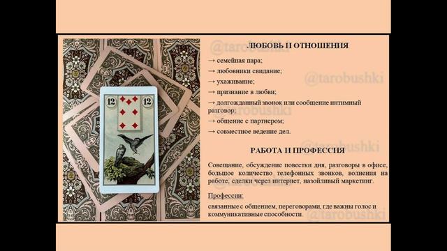 12. ПТИЦЫ И СОВЫ смотреть онлайн