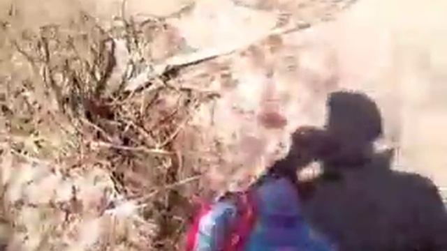Рыбалка на реке Ишим смотреть онлайн