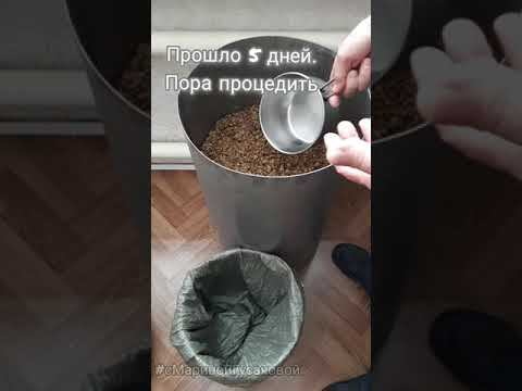 Как приготовить Домашнее ВИНО из винограда. Когда и как отделить  жмых из виноградаЧасть 3 - я смотреть онлайн