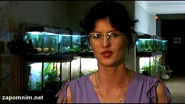 Отзывы SDC Центр Системного Развития.flv смотреть онлайн