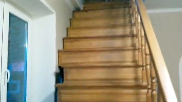 Сorgi Jumps/ корги скачет по лестнице смотреть онлайн