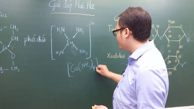 Tại sao xenlulozo và tinh bột có nhiều nhóm OH nhưng không phản ứng với Cu(OH)2 смотреть онлайн
