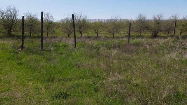 Земельный участок Гореничи смотреть онлайн