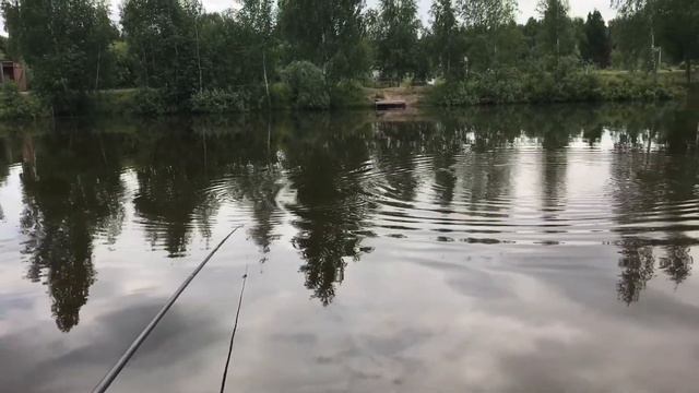 Ловля Сиговых в Петряихе РК"Фишка" смотреть онлайн