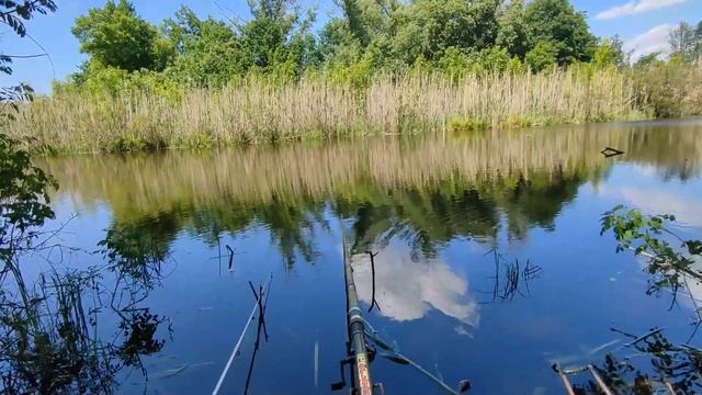 ловим карасей тапками смотреть онлайн