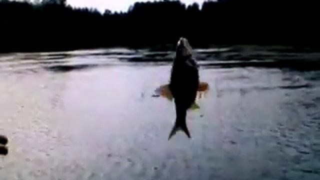 Рыбалка 2 смотреть онлайн