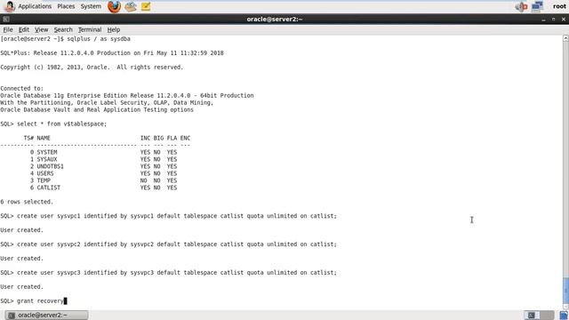 Virtual Private Catalog Configuration in RMAN смотреть онлайн