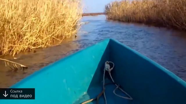 астрахань базы отдыха рыбалка видео смотреть онлайн