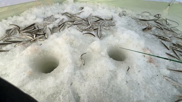 На рыбалку, Де-Кастри 2023. смотреть онлайн