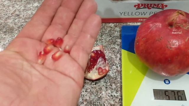 Лучший сорт граната Парфянка. One of the best pomegranates Parfianka (Russian and English languages смотреть онлайн