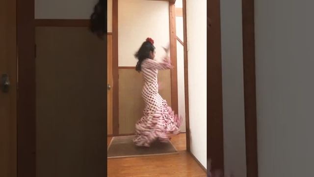 うちで踊ろう/星野源×flamenco 柿野とも子part3 смотреть онлайн