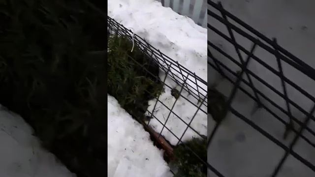 Советы по улучшению сна