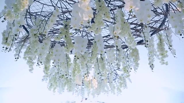 Красивое оформление банкетного зала на свадьбу орхидеями смотреть онлайн