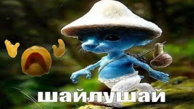 ШАЙЛУШАЙ смотреть онлайн