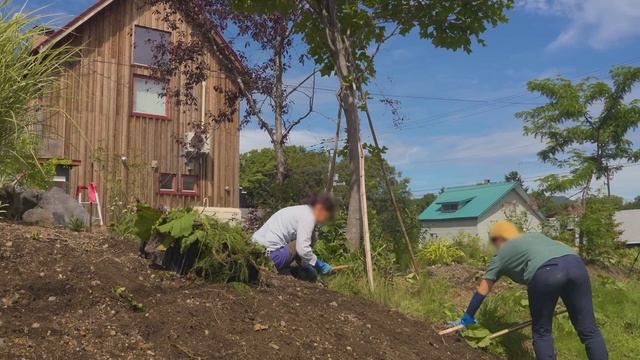 庭を作り、野菜を収穫し、料理をし、蜂に刺される｜ガーデニングと暮らしのVlog смотреть онлайн