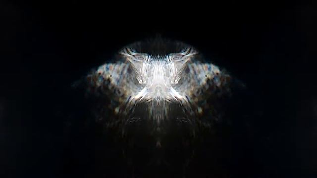 Zenial - Python смотреть онлайн