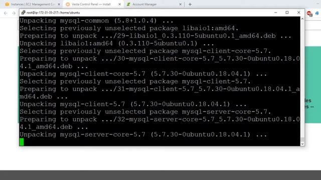 How To Install VestaCP on Amazon AWS EC2 Instance With Latest PHP 2020 смотреть онлайн