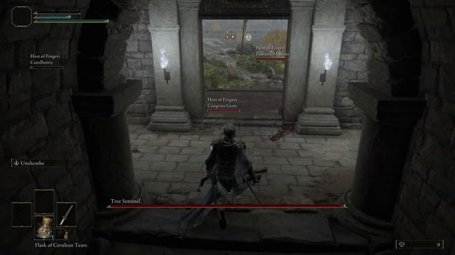 Four Dunders Vs. Tree Sentinel | Elden Ring Seamless Co-op Part 1 смотреть онлайн