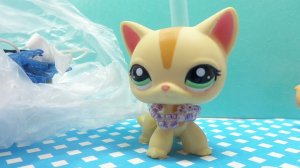 Распаковка лпс