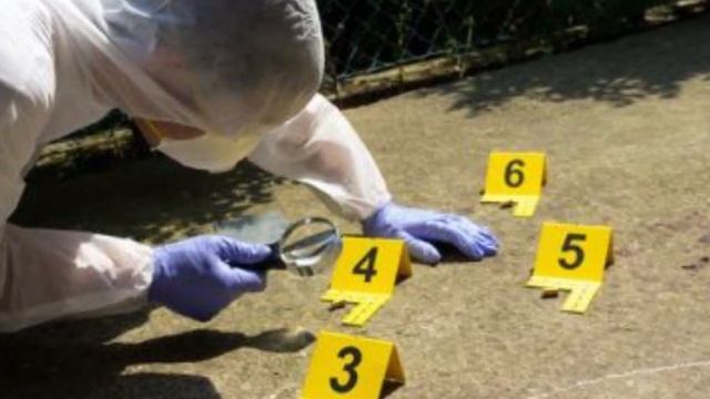 Detaje të forta, dyshohet se 33 vjeçaren e ka mb ytur motra e saj смотреть онлайн