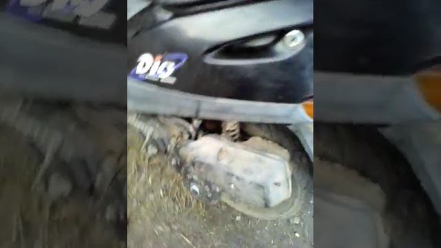Покатушки на хонда діо 27)) смотреть онлайн