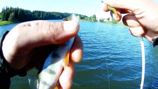 Ультралайт в Перми и Пермском крае.Безотказная приманка на окуня ТИОГА. #спиннинг #микроджиг #пермь смотреть онлайн