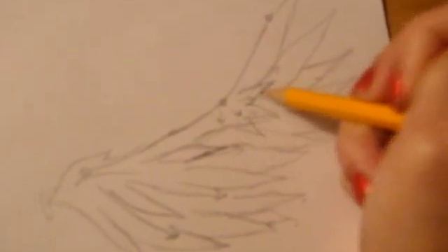 How to draw wings: Angel/fluff wings смотреть онлайн