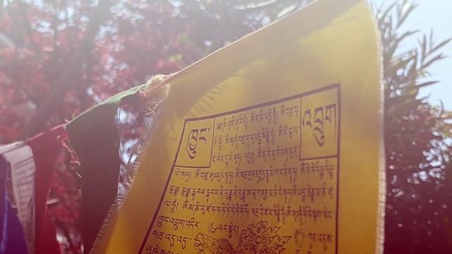 Om Mani Padme Hum ཨོཾ་མ་ཎི་པདྨེ་ཧཱུྃ | Compassion Mantra смотреть онлайн